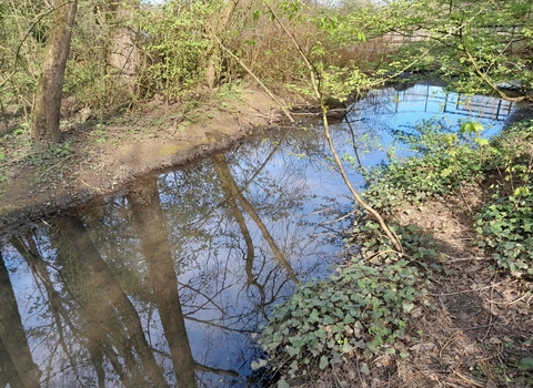 A brook reflecting trees and a blue sky.