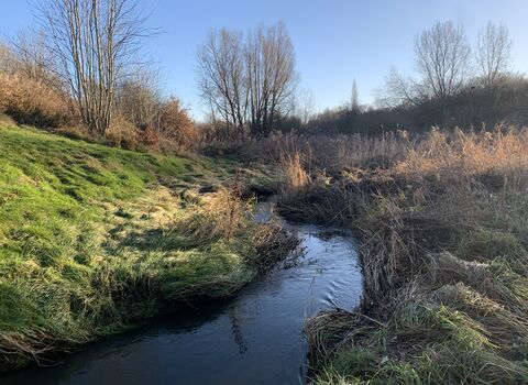 A brook reflects the a bright blue winter sky. Grassy hills and bare trees surround the water as it meanders through the landscape.