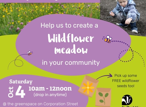Help us create a Wildflower meadow in your community