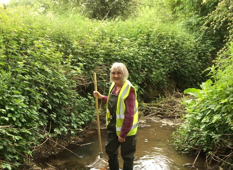 A woman with grey shoulder length hair stands in a stream with a net in her hand. She wears a high vis vest and green waders.
