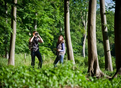 A man and a woman in a green woodland. The man is looking through binoculars.