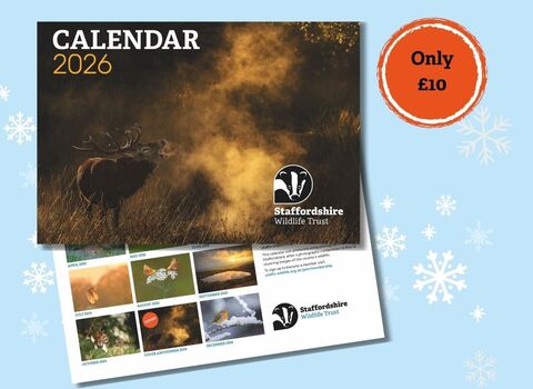 A pale blue background with the front and rear covers of a 2026 calendar showing a deer calling in the autumn mist