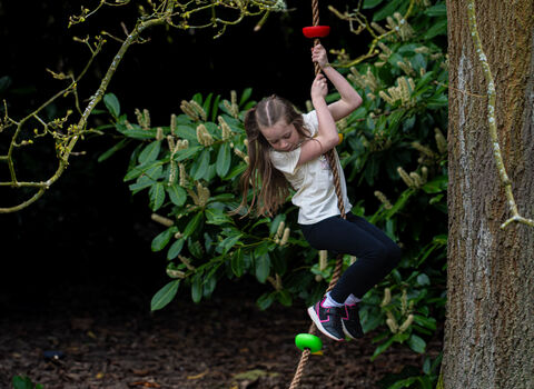 A young girl swings in a tree on a rope in a woodland setting