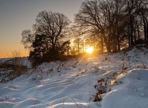 A landscape covered in snow with trees framing a sunset in winter