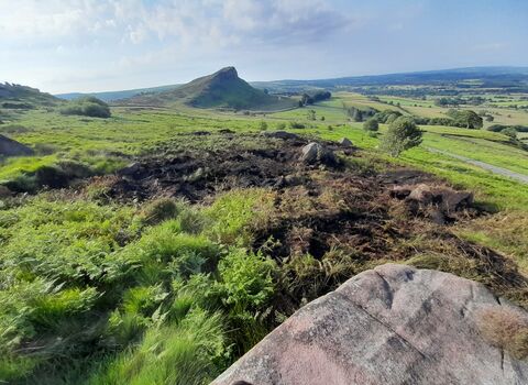 A green lush landscape in the distance with a distinct rocky peak, with a charred area of burnt vegetation in the foreground.