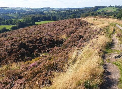 A path running along the top of a hill with heather on the hillside and a green valley in the distance