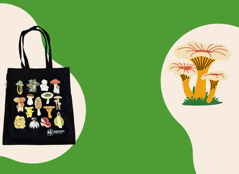 A green background with sparkles and a fungi graphic, with a fungi-themed tote bag on the left.