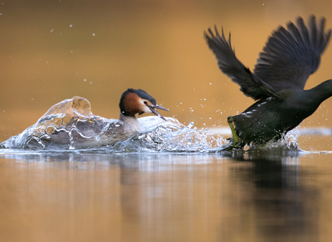 Jon Hawkins - Surrey Hills Photography